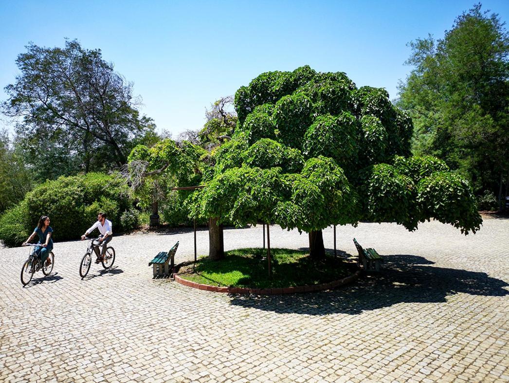 Herdade Clube Tiro Монфортиньо Екстериор снимка